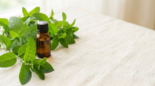 Peppermint Oil for Skin: What Mature Skin Needs to Know Before the First Drop