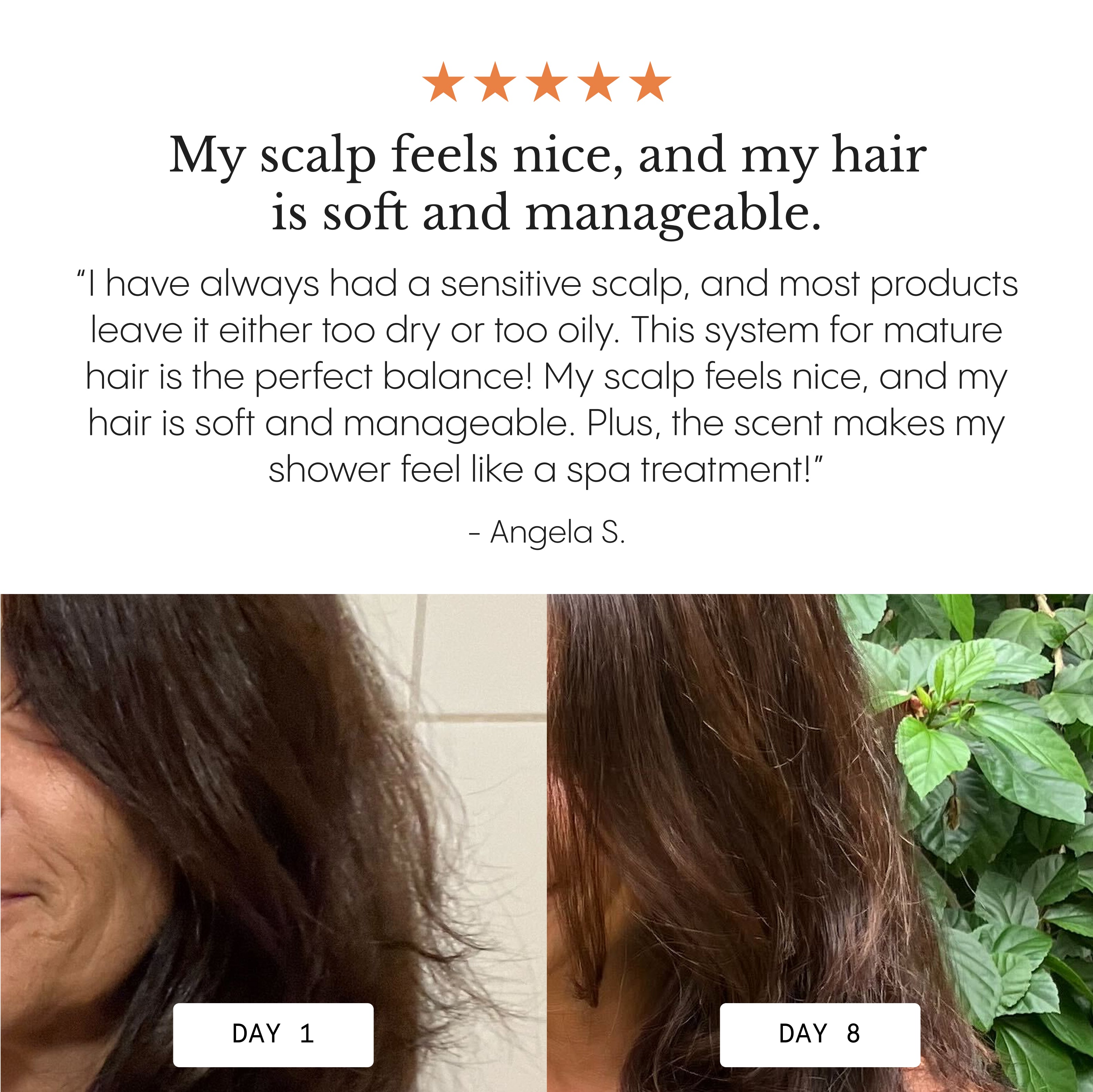 The Complete System For Mature Hair & Scalp