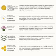 The Complete Apothecary for Face & Body