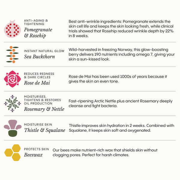 Anti-Age & Insane Glow Day Balm