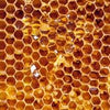 Beeswax