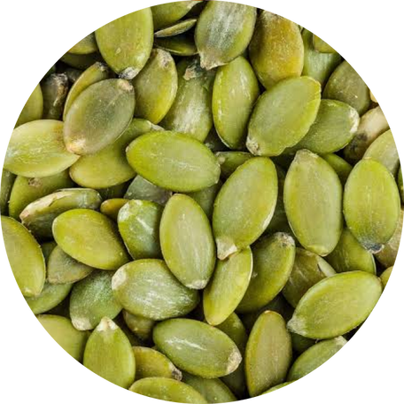 Pumpkin Seed
