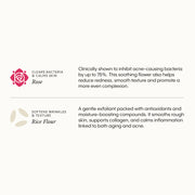 Frøya Organics Ultra Cleanse Face Scrub rose petal powder texture in palm